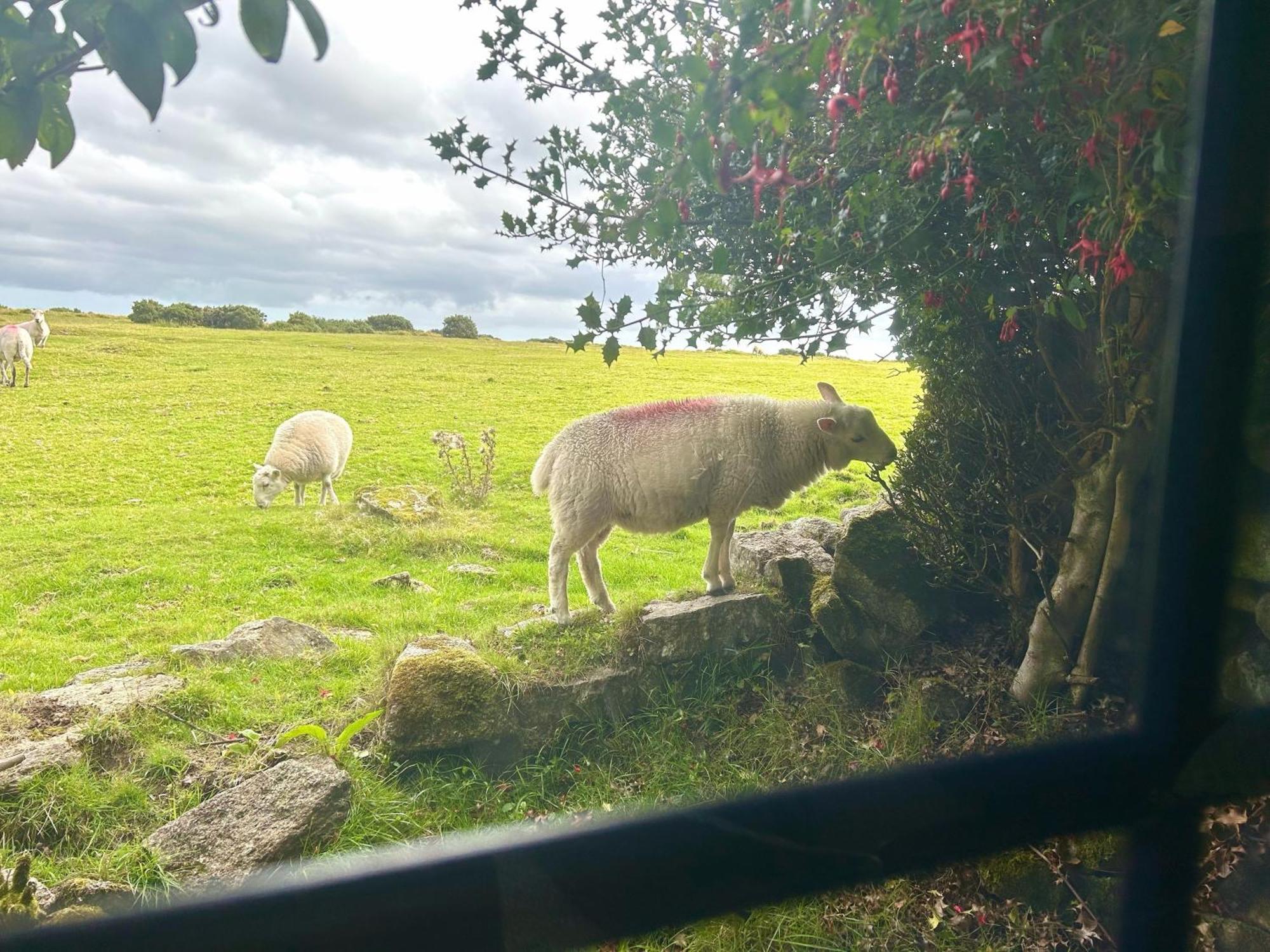 Hallagenna * Bodmin